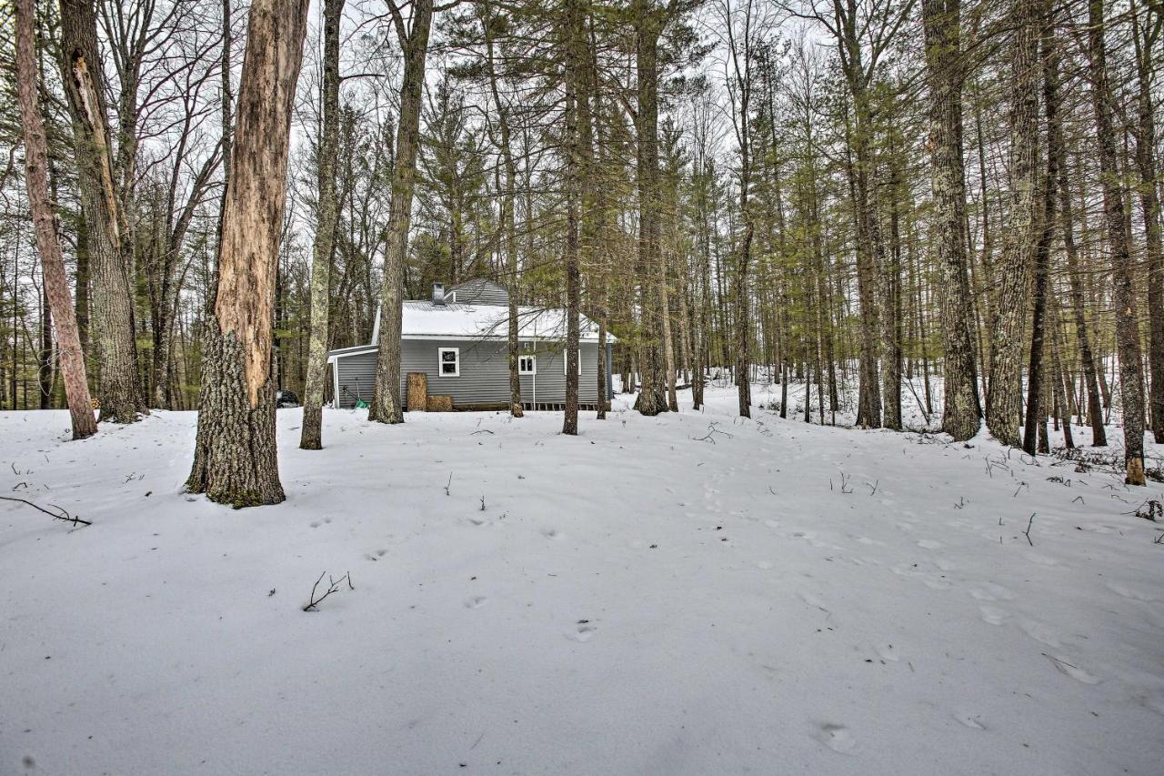 Remote Michigan Retreat On 10 Acres With Grill! Villa Irons Dış mekan fotoğraf